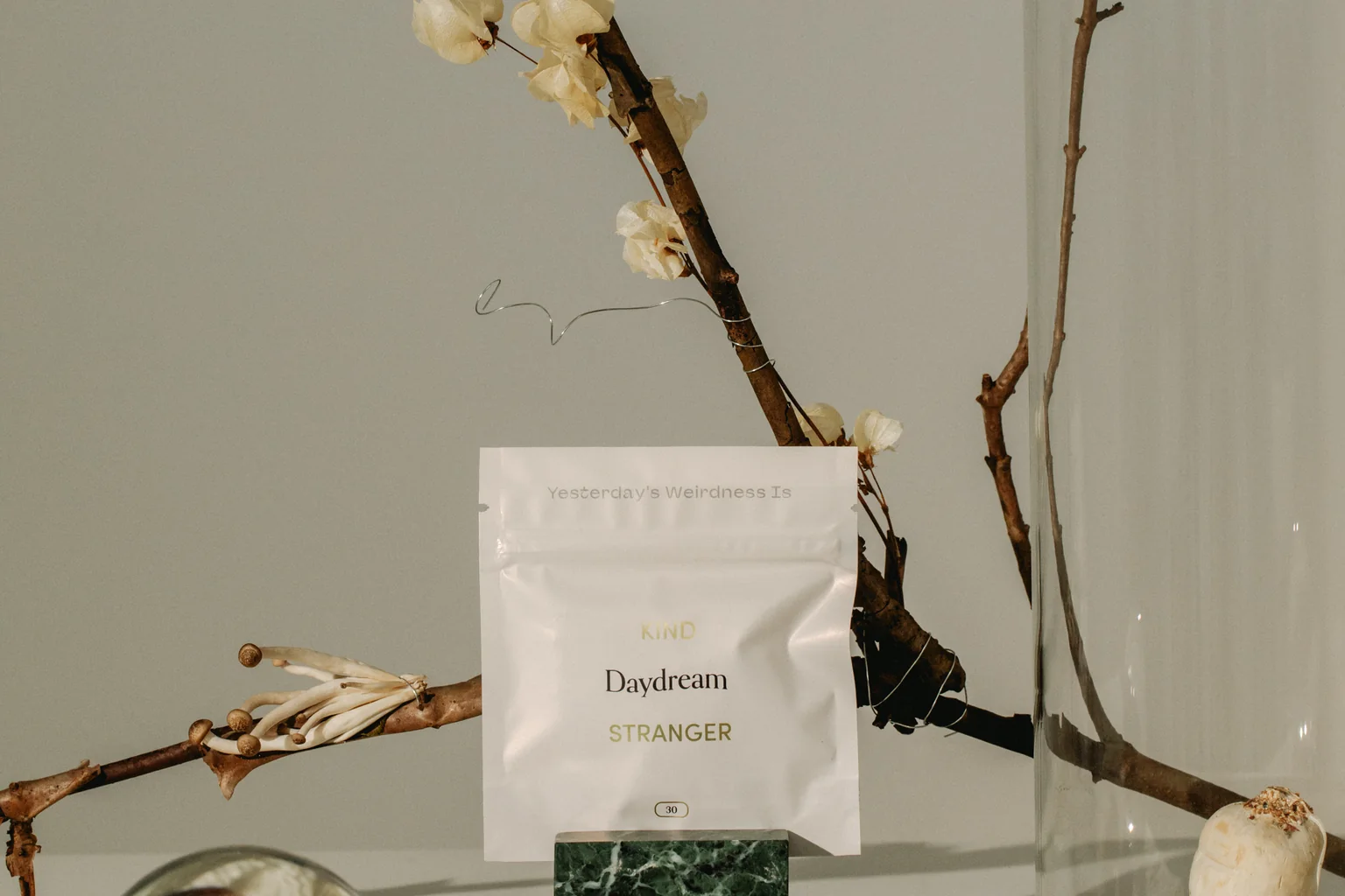 A Kind Stranger Daydream microdose capsule pack in a still life with dried branches and a glass vase.