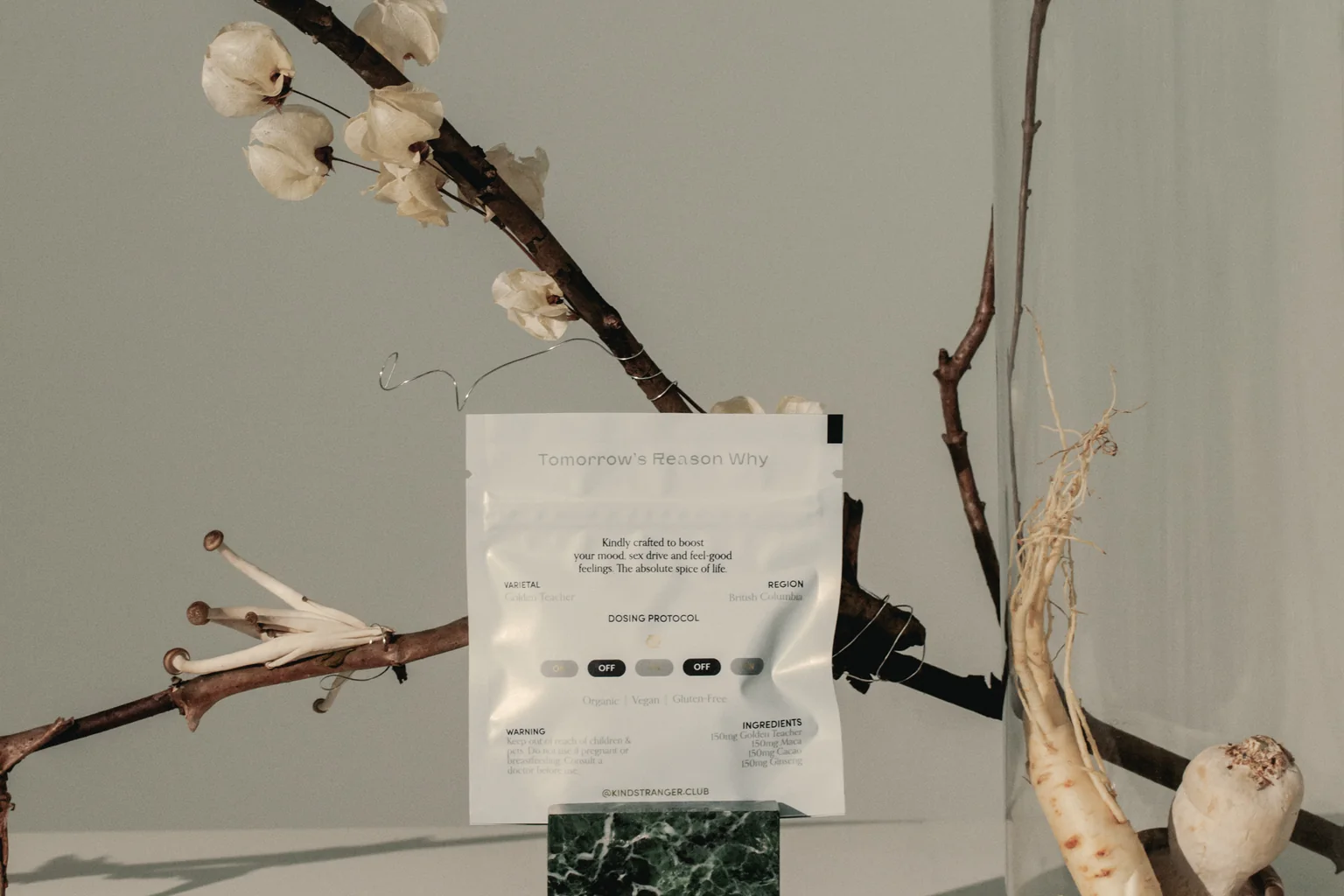The back of a Kind Stranger Bloom pack in a still life with dried branches and a glass vase.
